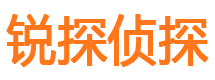 平安市私家侦探